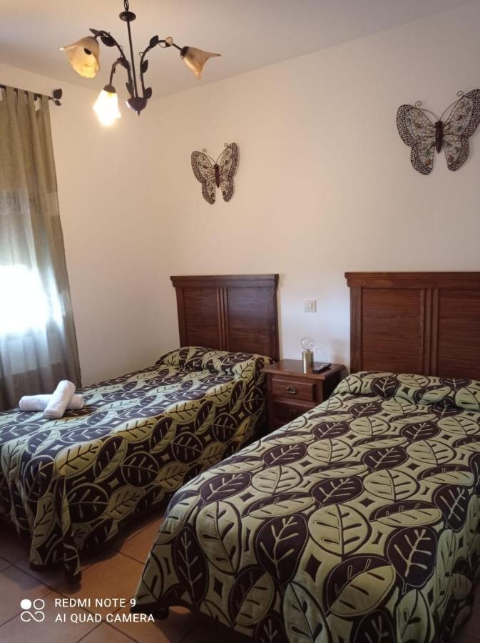 Hostal El Hayedo Cantalojas Kültér fotó